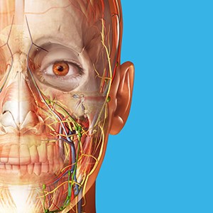 Atlas de anatomía humana 2026: Cuerpo humano completo en 3D