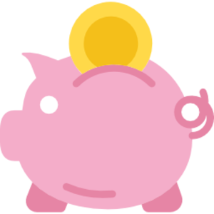 No Frills Checkbook